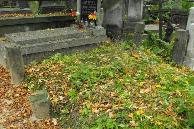 Zdjęcie grobu Hipolit Lipowski (1)