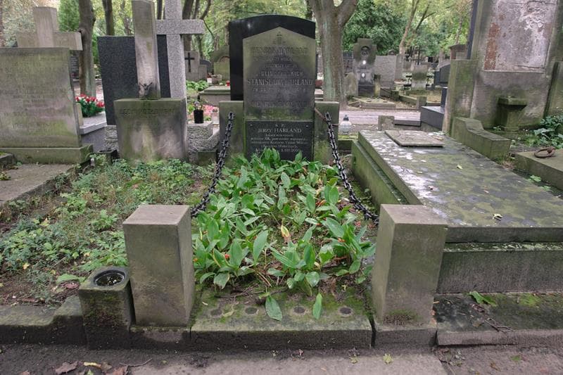Zdjęcie grobu Henryk Harland (1)