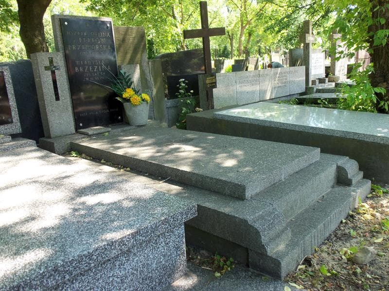 Zdjęcie grobu Władysław Brzezina (1)