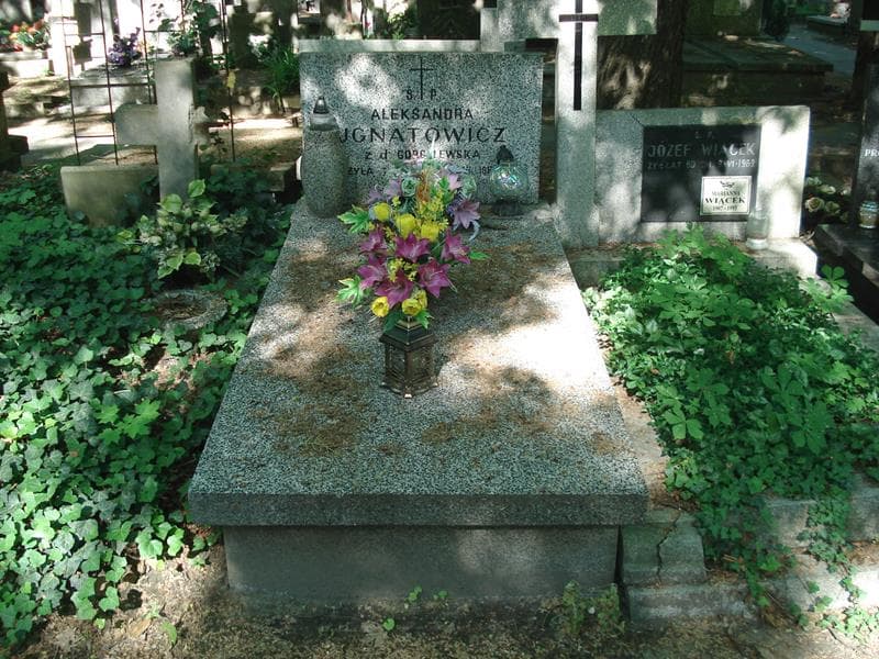 Zdjęcie grobu: Aleksander Ignatowicz