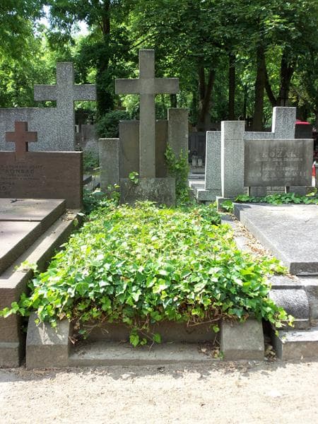 Zdjęcie grobu: Wincenty Jordański