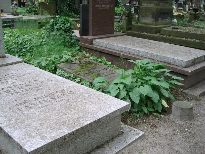 Zdjęcie grobu: Florentyn Adamski