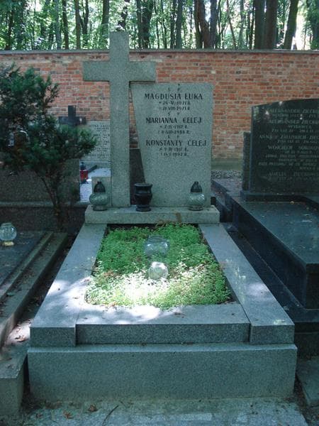 Zdjęcie grobu: Konstanty Celej