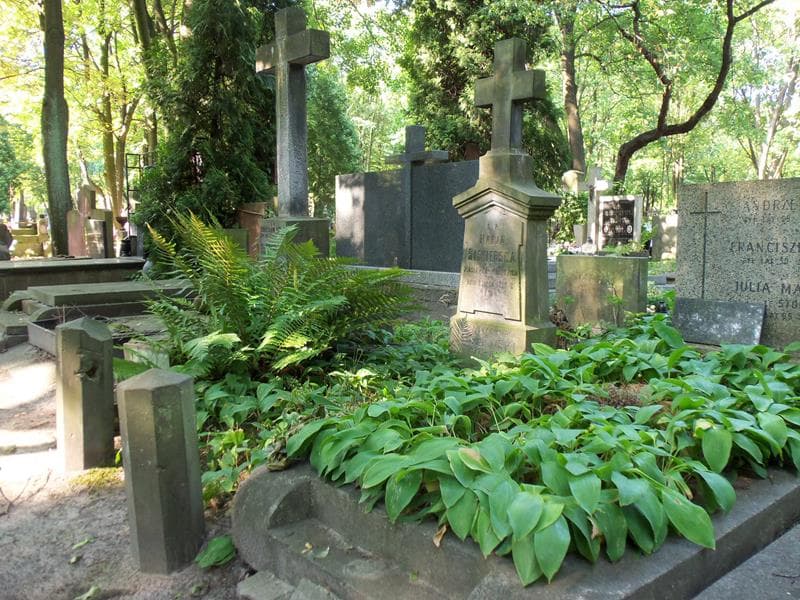 Zdjęcie grobu Marja Siekierska (1)