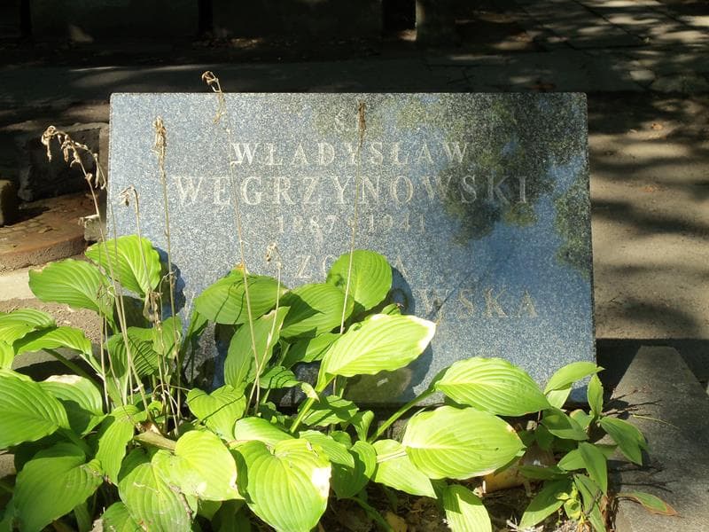 Zdjęcie grobu Władysław Węgrzynowski (2)