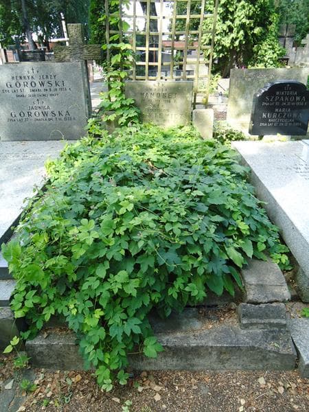 Zdjęcie grobu: Maria Wandrej