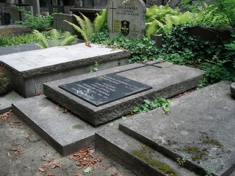 Zdjęcie grobu: Stanisława Jungowska