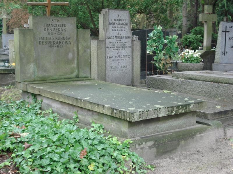 Zdjęcie grobu Franciszek Desperak (1)