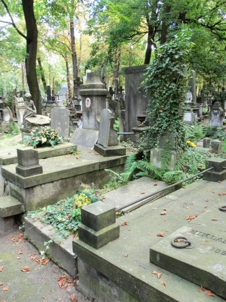 Zdjęcie grobu Henryk Ksawery Gołębiowski (2)