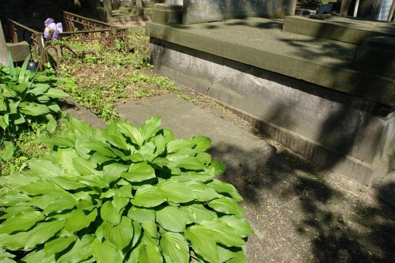 Zdjęcie grobu Ferdynand Rutowski (1)