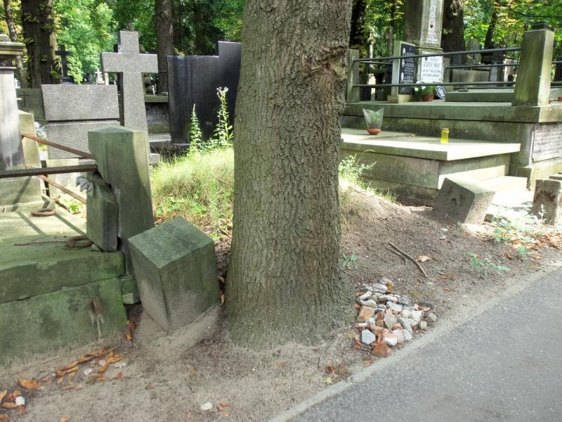 Zdjęcie grobu Ludwika Maria Bantkie-Stężyńska (1)