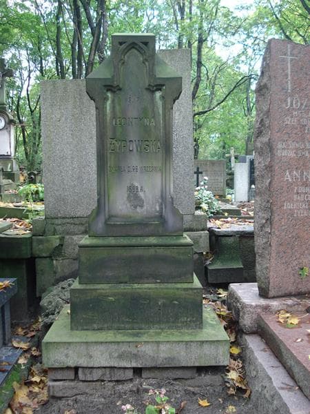 Zdjęcie grobu Leontyna Żypowska (2)