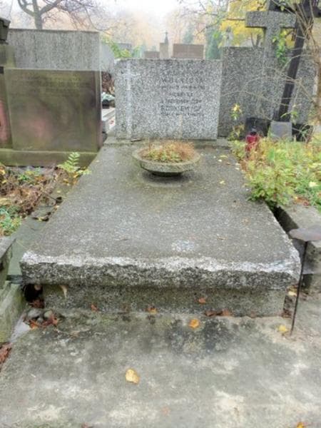 Zdjęcie grobu: Jadwiga Wolnicka