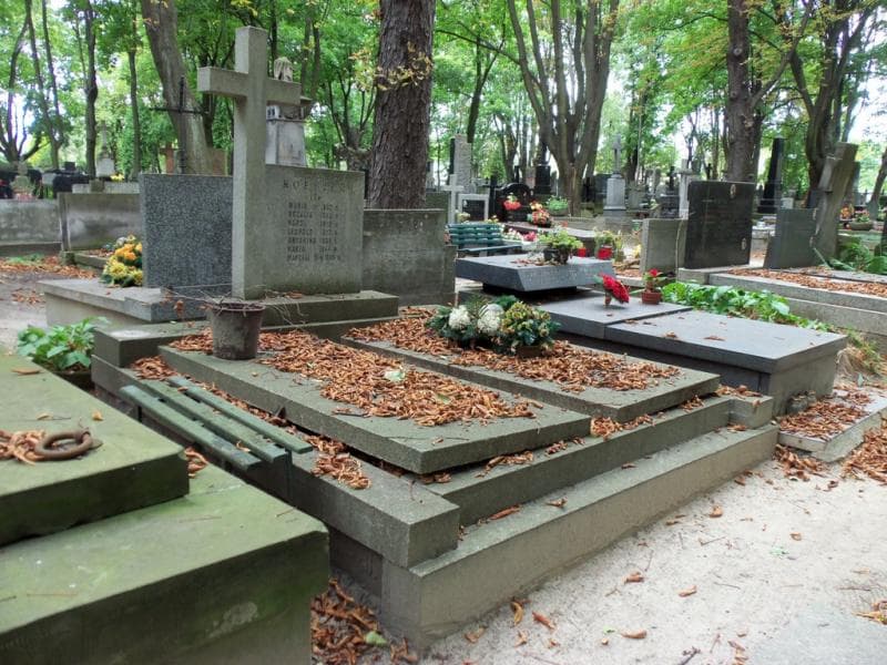 Zdjęcie grobu Karol Koehler (1)