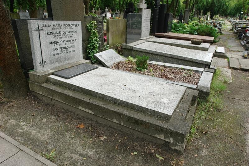 Zdjęcie grobu: Ania Maria Piotrowska