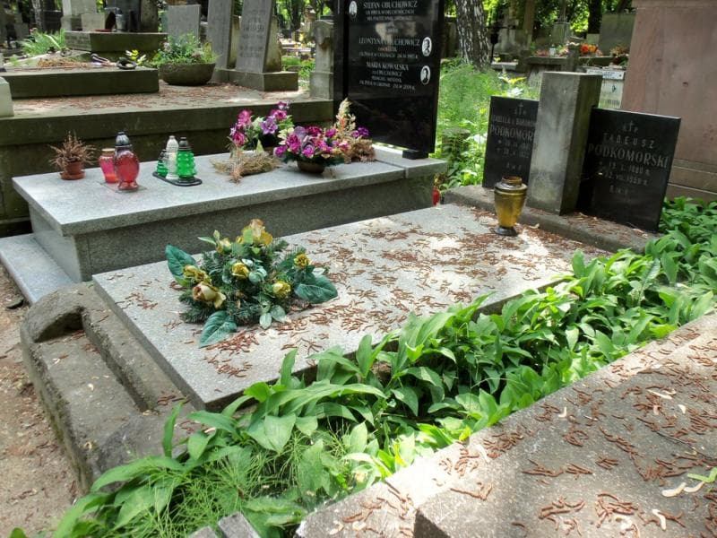 Zdjęcie grobu Tadeusz Podkomorski (1)