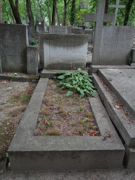 Zdjęcie grobu Stanisław Stypiński (1)