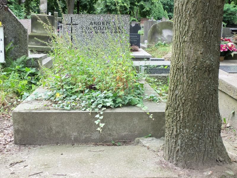 Zdjęcie grobu: Andrzej Kołodziejski