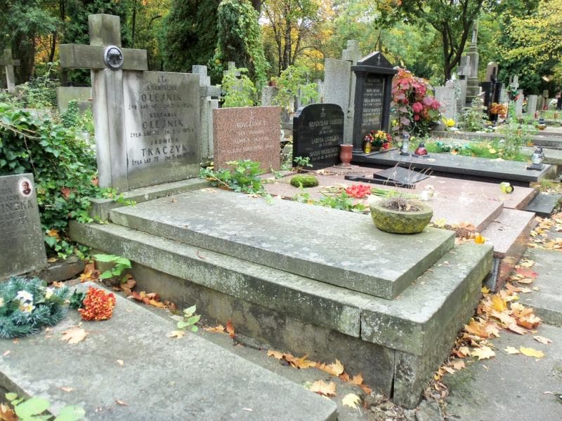 Zdjęcie grobu Stanisław Olejnik (1)