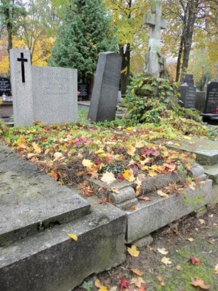 Zdjęcie grobu Józef Szeląg (1)