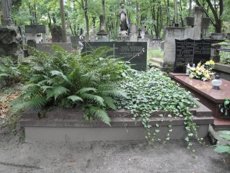 Zdjęcie grobu: Maria Majewska