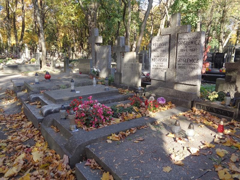 Zdjęcie grobu: Adolf Wolański