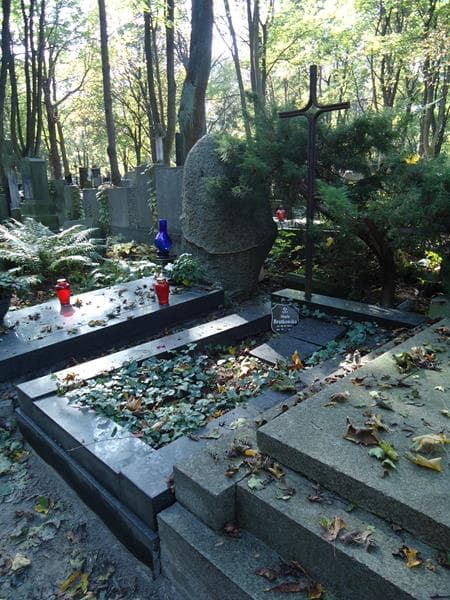 Zdjęcie grobu Stefan Brutkowski (1)