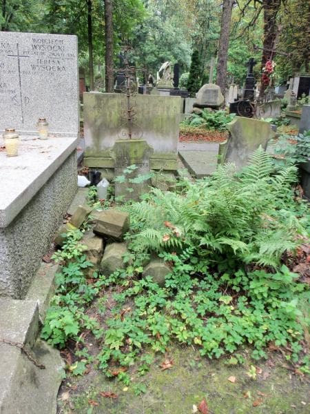 Zdjęcie grobu: Kamilla Jahołkowska