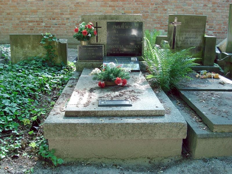 Zdjęcie grobu: Leon Żmijewski
