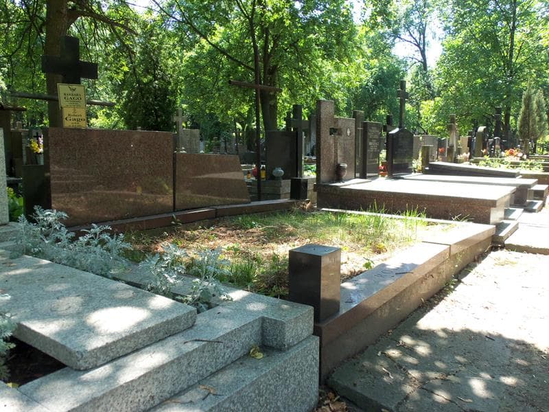 Zdjęcie grobu Stefuś Oksza Grabowski (1)