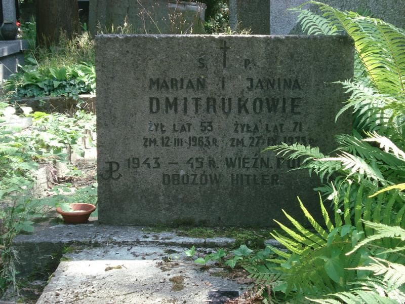 Zdjęcie grobu Janina Dmitruk (1)