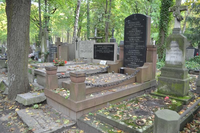 Zdjęcie grobu: Helena Budzyńska Orzeszek