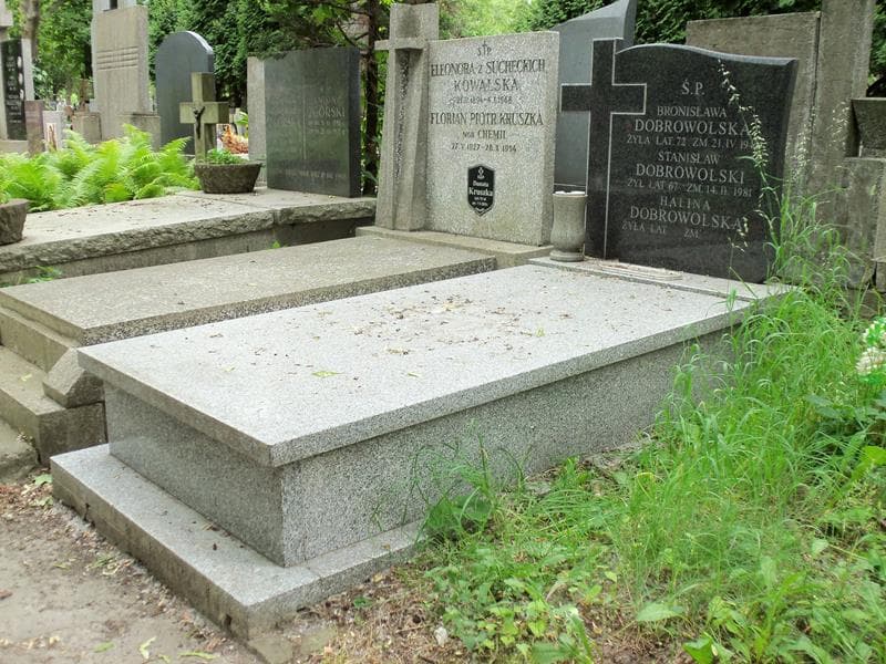 Zdjęcie grobu Bronisława Dobrowolska (1)