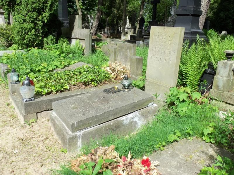 Zdjęcie grobu Zygmunt Wasilewski (1)