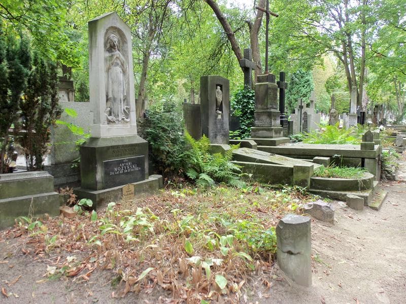 Zdjęcie grobu Halina Nożyńska (1)