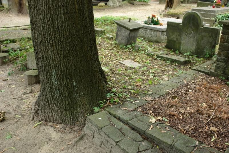 Zdjęcie grobu Anonim (1)