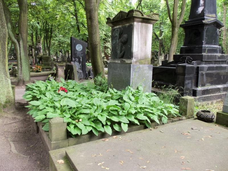 Zdjęcie grobu Józefa Bogdanowicz (1)