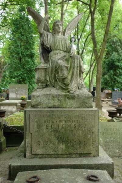 Zdjęcie grobu Witold Ciechomski (2)