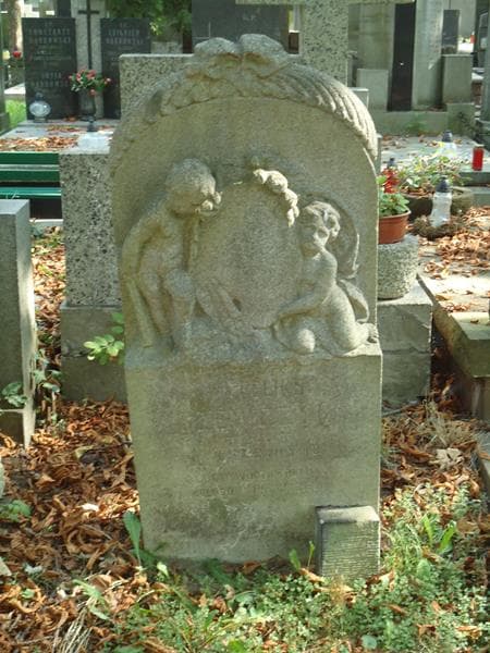 Zdjęcie grobu Feliks Szewczyk (2)
