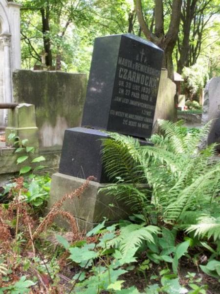 Zdjęcie grobu Marya Czarnocka (2)