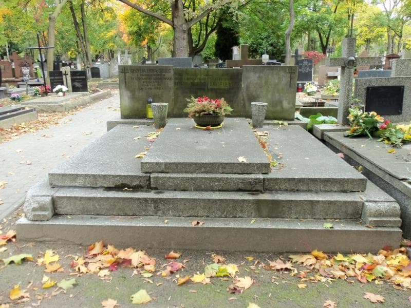 Zdjęcie grobu: Stanisława Danielewska