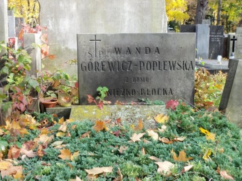 Zdjęcie grobu Jerzy Górewicz (1)