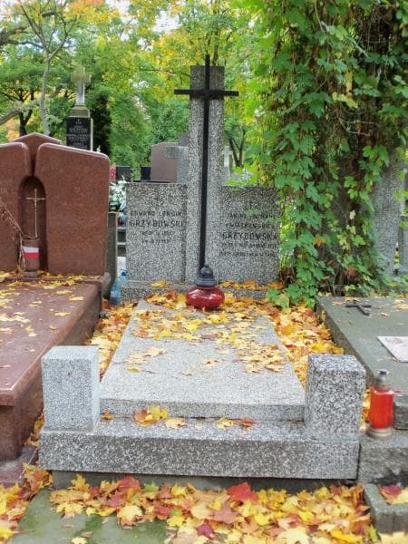 Zdjęcie grobu: Edward Longin Grzybowski