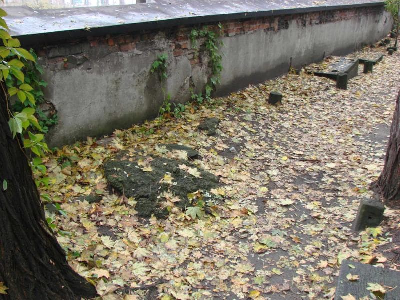 Zdjęcie grobu Anonim (1)