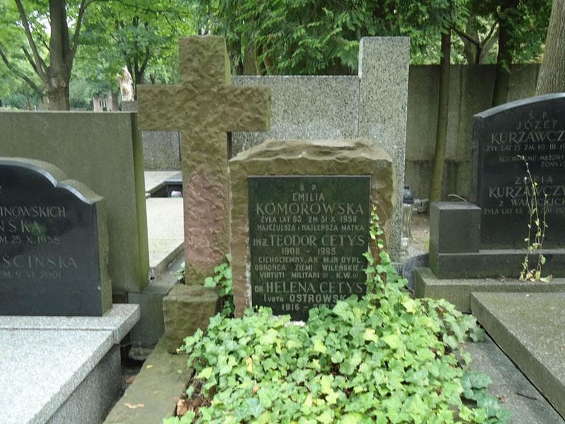 Zdjęcie grobu Teodor Cetys (2)