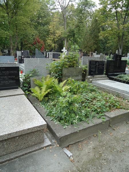 Zdjęcie grobu Wincenty Kuźniak (1)