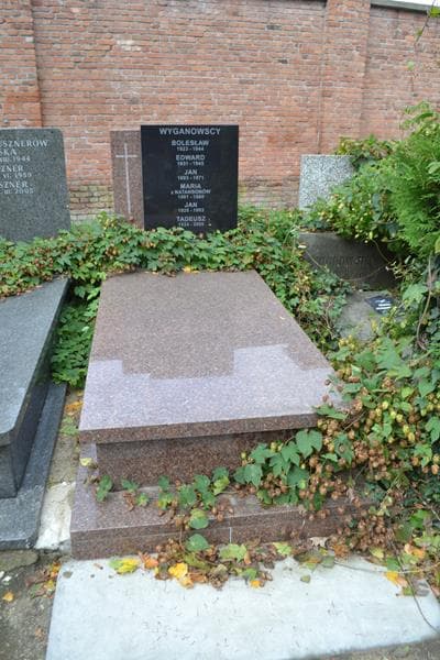 Zdjęcie grobu Jan Wyganowski (1)