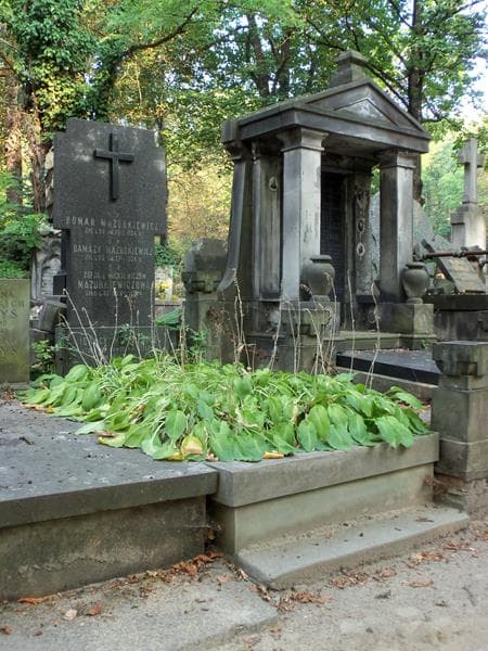 Zdjęcie grobu Ignacy Mickiewicz (1)