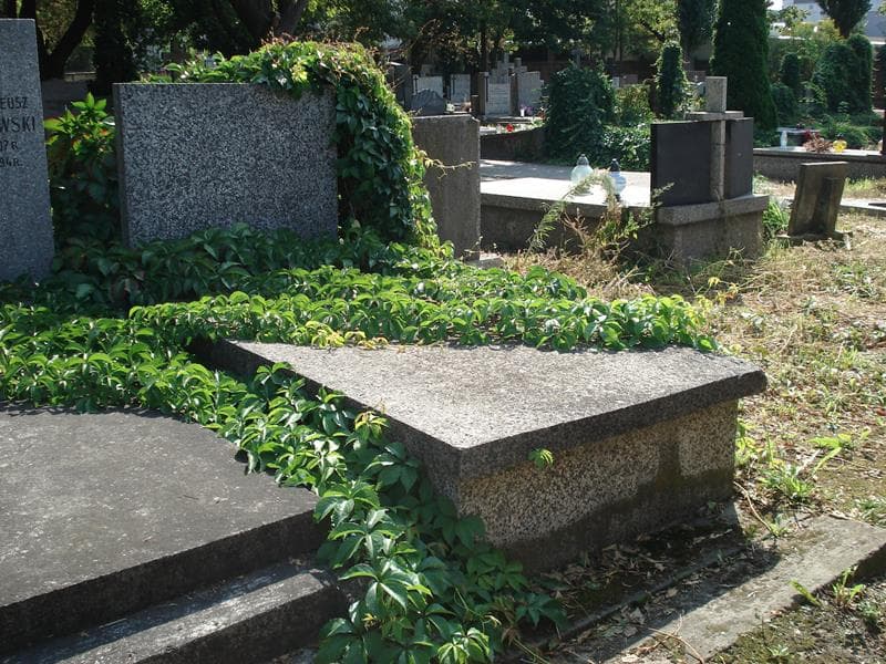 Zdjęcie grobu: Juljan Ajdukiewicz