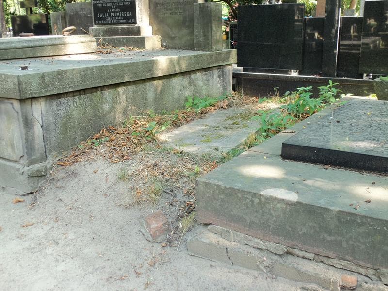 Zdjęcie grobu Henryk Hryniewiecki (1)